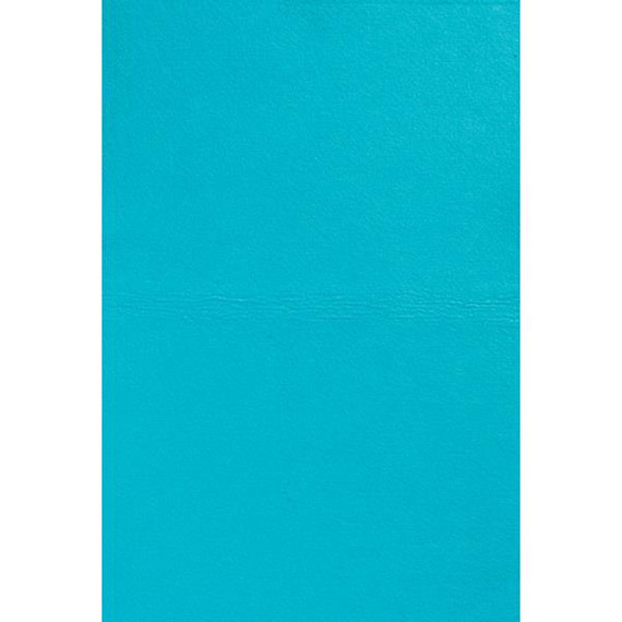 Weaver Livestock Ultra-Absorbent Chamois - Blue