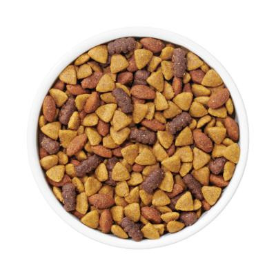 Purina Adult Lamb Dog Chow Dry Dog Food - 44 lb