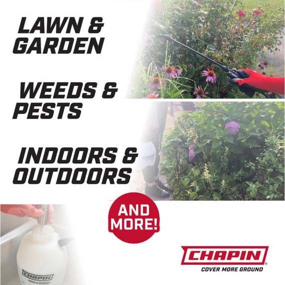 Chapin Home and Garden Poly Tank Sprayer - 1 gal - 2 pk