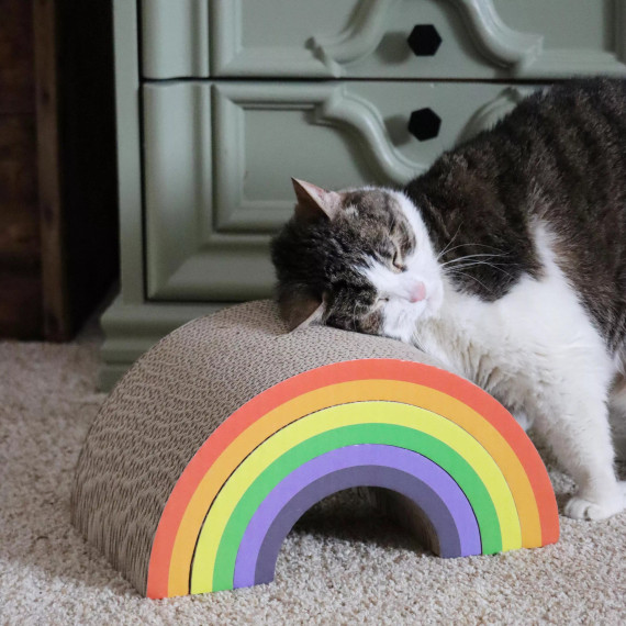 Coastal Pet Products Turbo Rainbow Cat Scratcher - 6-1/2"