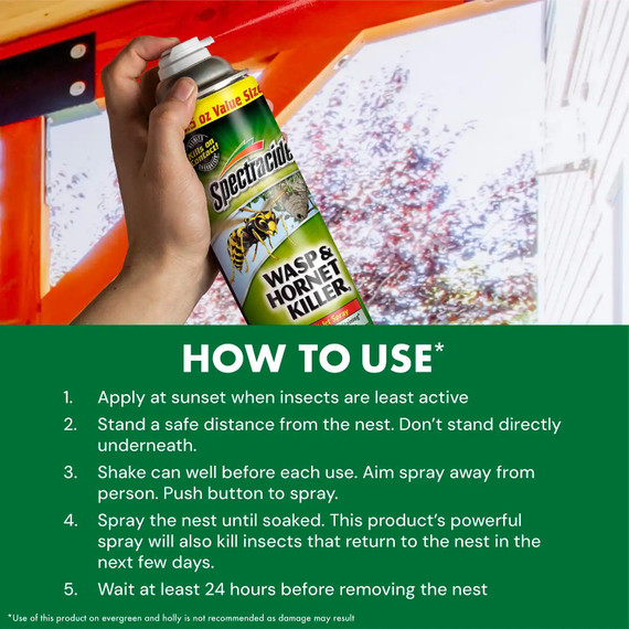 Spectracide Wasp Hornet Killer Aerosol Spray - 18.5 oz