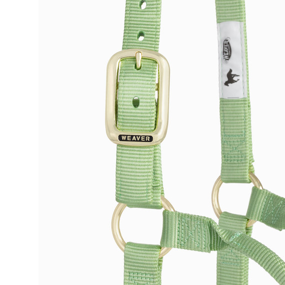 Weaver Equine Nylon Non-Adjustable Halter