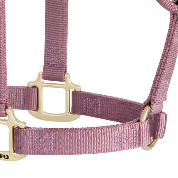 Weaver Equine Nylon Non-Adjustable Halter