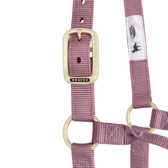 Weaver Equine Nylon Non-Adjustable Halter