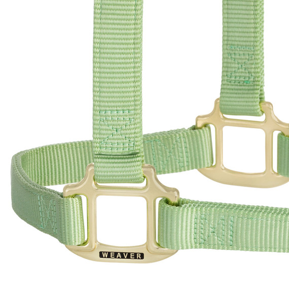 Weaver Equine Nylon Non-Adjustable Halter