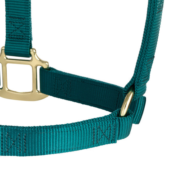 Weaver Equine Nylon Non-Adjustable Halter