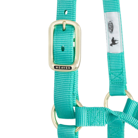 Weaver Equine Nylon Non-Adjustable Halter