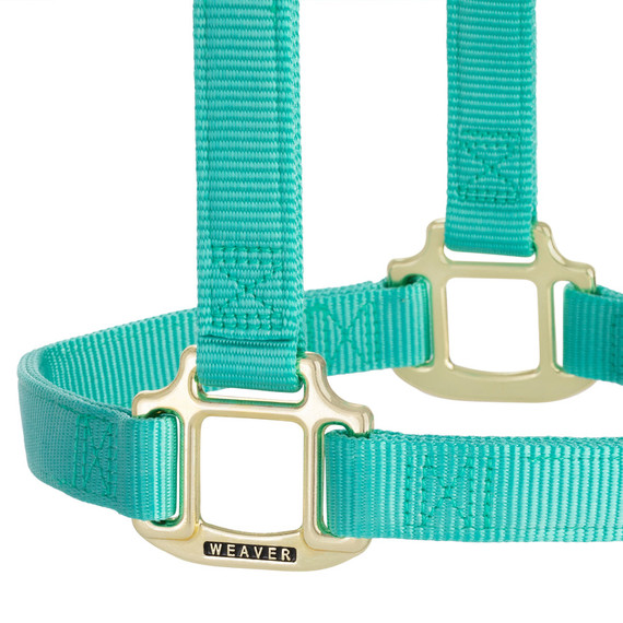 Weaver Equine Nylon Non-Adjustable Halter