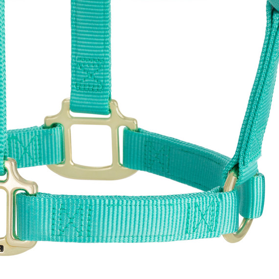 Weaver Equine Nylon Non-Adjustable Halter
