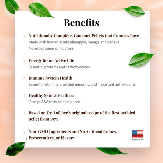 Lafeber Company Conures Tropical Fruit Gourmet Pellets - 1.25 lb