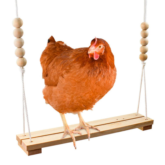 Exotic Nutrition Solid Hardwood Chicken Swing - 42"