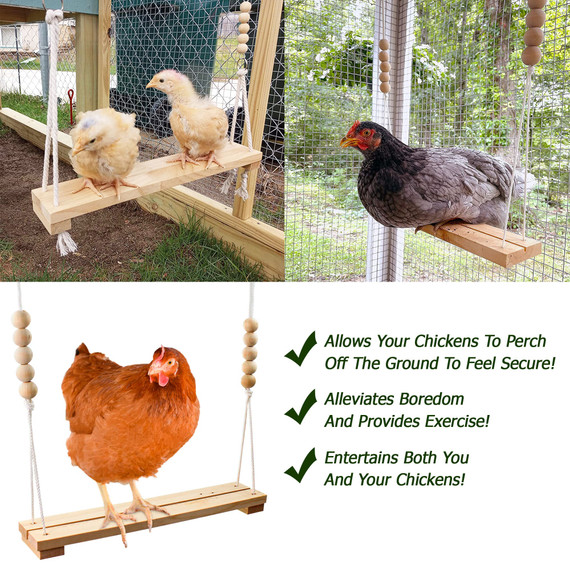 Exotic Nutrition Solid Hardwood Chicken Swing - 42"