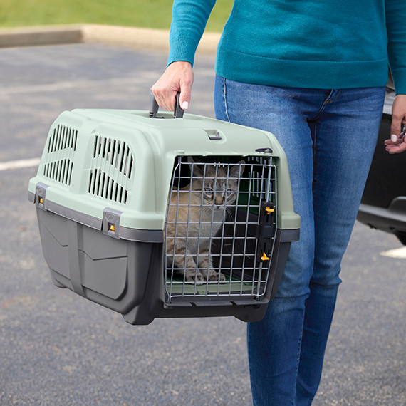 MidWest Homes Skudo Plastic Travel Cat Carrier