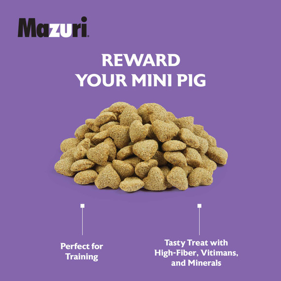 Mazuri Immune Support Healthy Skin Mini Pig Treat - 3.5 lb