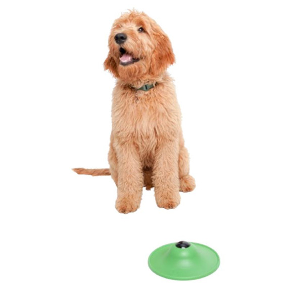 Stashios Soothing Saucer for Dog