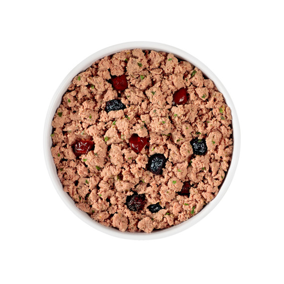 Freshpet Vital Clean Nutrition Grain-Free Beef & Bison Recipe Roll Dog