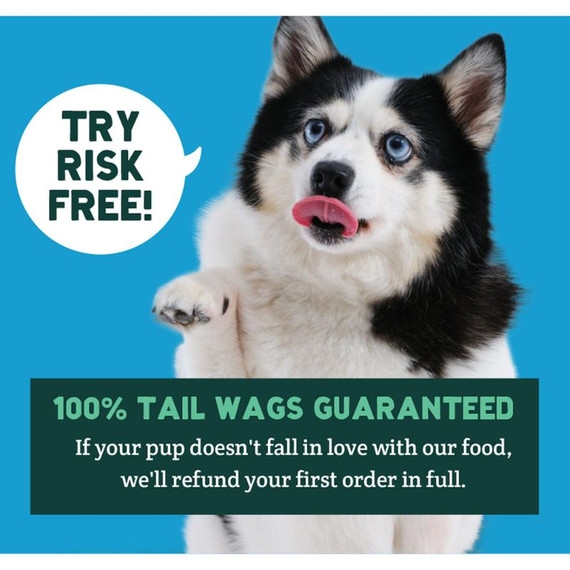 A Pup Above Cage Free Chicka Chicka Bow Wow Dog Food - 1 lb