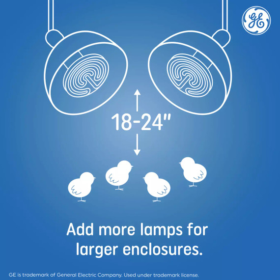 GE 100W Ceramic Heat Lamp