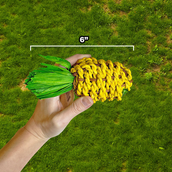 Exotic Nutrition Native Critter Pineapple Chew Toy - 6" x 2" x 2"