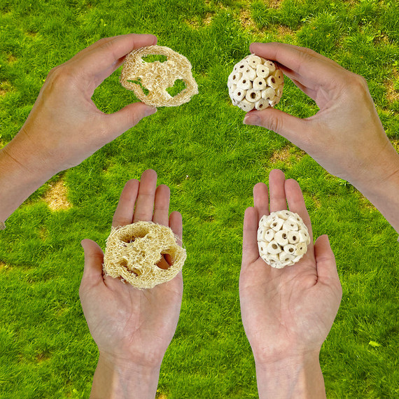 Exotic Nutrition NativeCritter Signature Chews For Small Animal - 8" X 4-1/2" X 2-1/2"