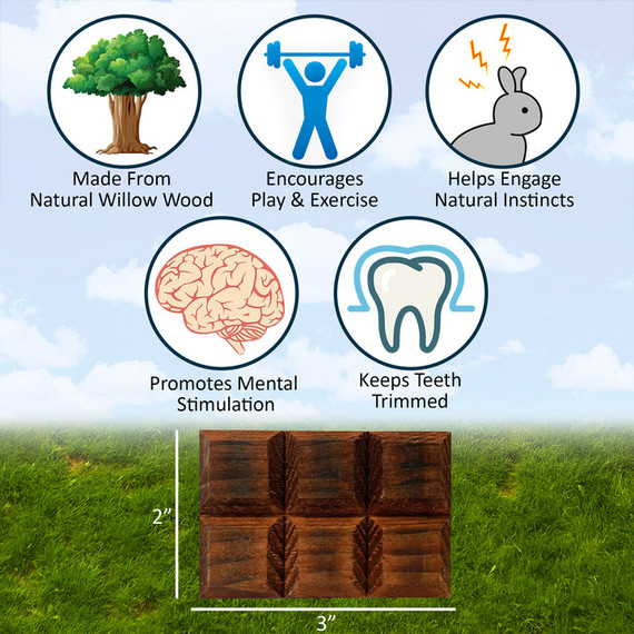 Exotic Nutrition Willow Crunch Bar Food for Small Animal - 0.5 oz