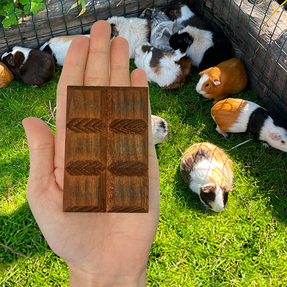 Exotic Nutrition Willow Crunch Bar Food for Small Animal - 0.5 oz