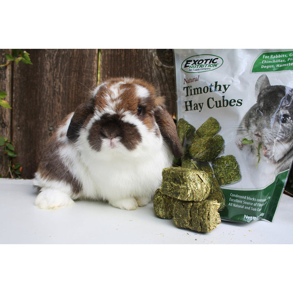 Exotic Nutrition Timothy Hay Cubes Rabbit & Guinea Pig Food - 1 lb