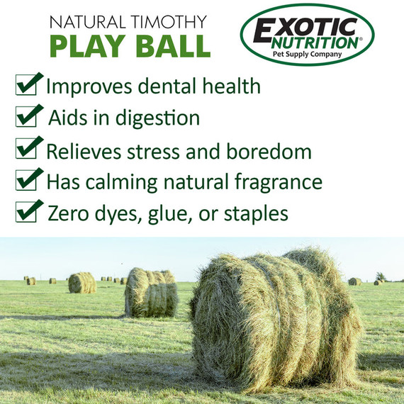 Exotic Nutrition Natural Timothy Play Ball - 3.8 oz