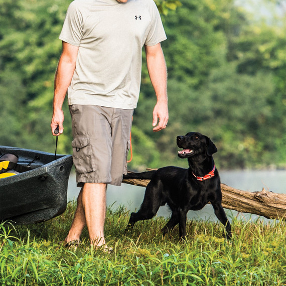 Terrain Dog Reflective Neoprene Lined Dog Collar