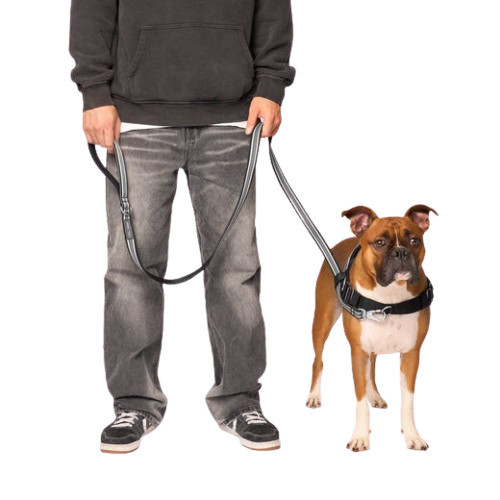 Canada Pooch Jacquard Leash