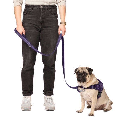 Canada Pooch Jacquard Leash