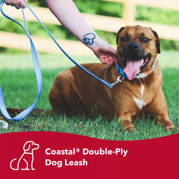 Coastal Pet Double-Ply Dog Leash