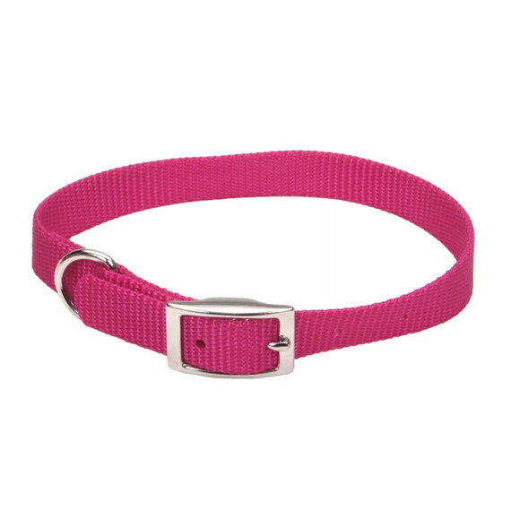 Coastal Pet Single-Ply Dog Collar
