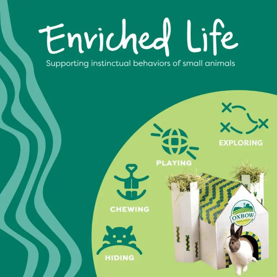 Oxbow Enriched Life Apple Twig Tree Treat Hanger For Small Animal