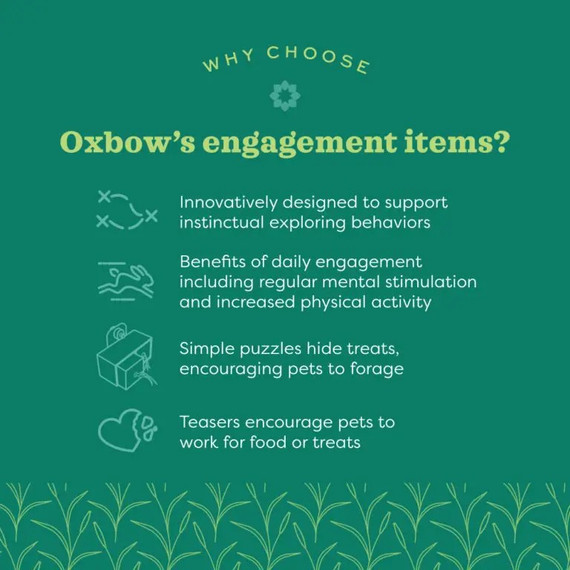 Oxbow Enriched Life Apple Twig Tree Treat Hanger For Small Animal