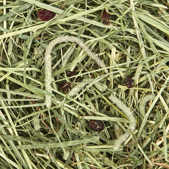 Kaytee Timothy Plus Cranberries Hay - 24 oz