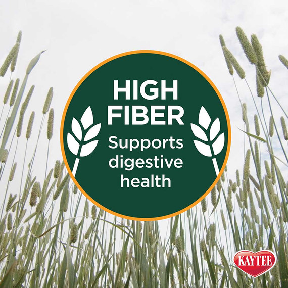 Kaytee Timothy Plus Carrots Hay - 25 oz