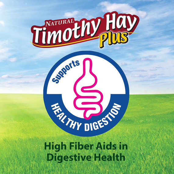 Kaytee Timothy Plus Carrots Hay - 25 oz