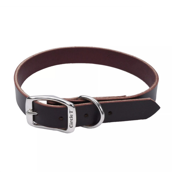 Coastal Pet Circle T Latigo Leather Town Dog Collar - Latigo