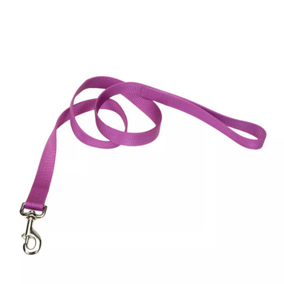Coastal Pet Single-Ply Dog Leash