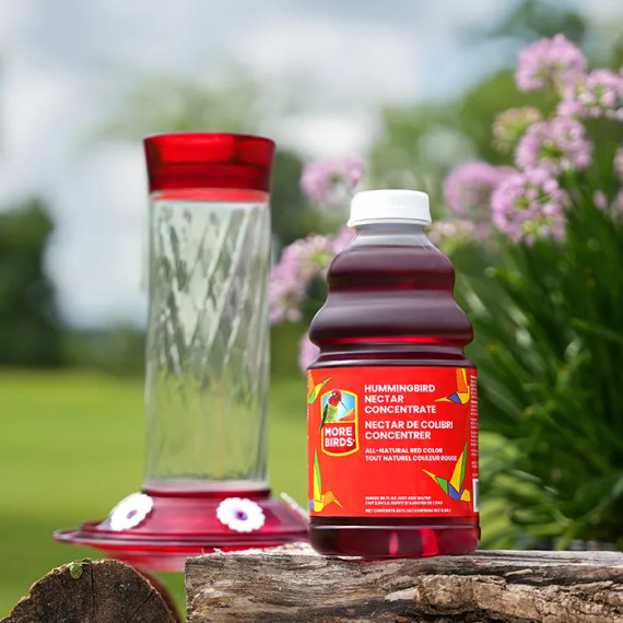 More Birds Hummingbird Sucrose Nectar Concentrate 32 oz Bottle