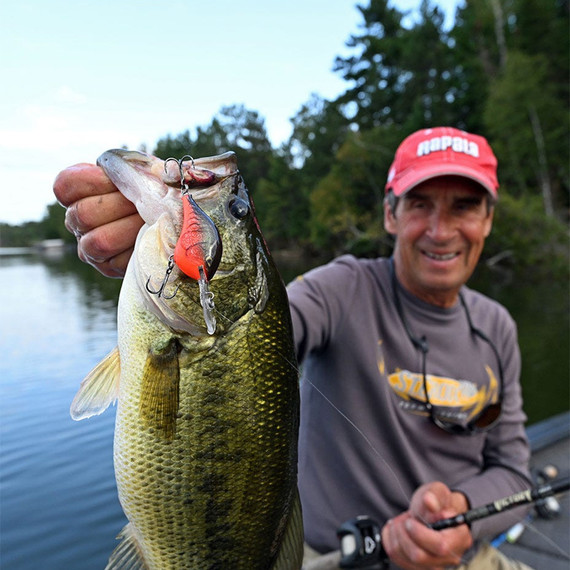 Rapala Dives-To Series Crankbaits - 3/8 oz