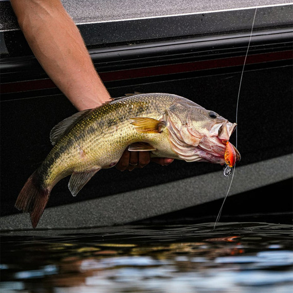 Rapala Dives-To Series Crankbaits - 3/8 oz