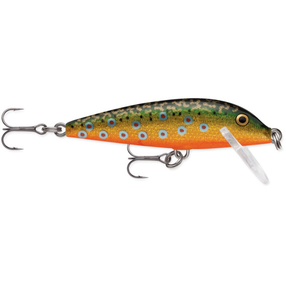 Rapala CountDown Fishing Lure