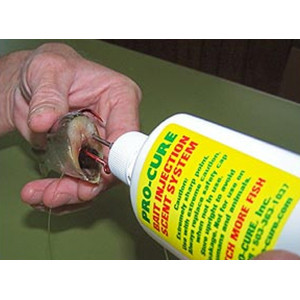 Pro-Cure Bait Injection Scent System - 2 oz