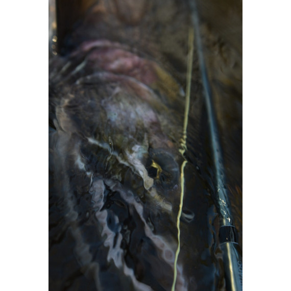 Maxima Ultragreen Fly Fishing Leader Wheels