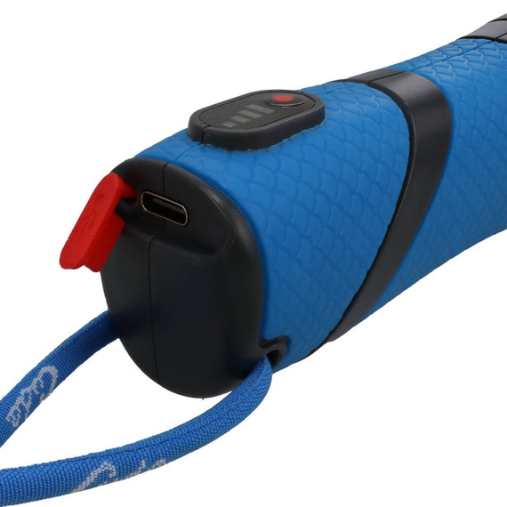 Cuda Electric Line Stripper