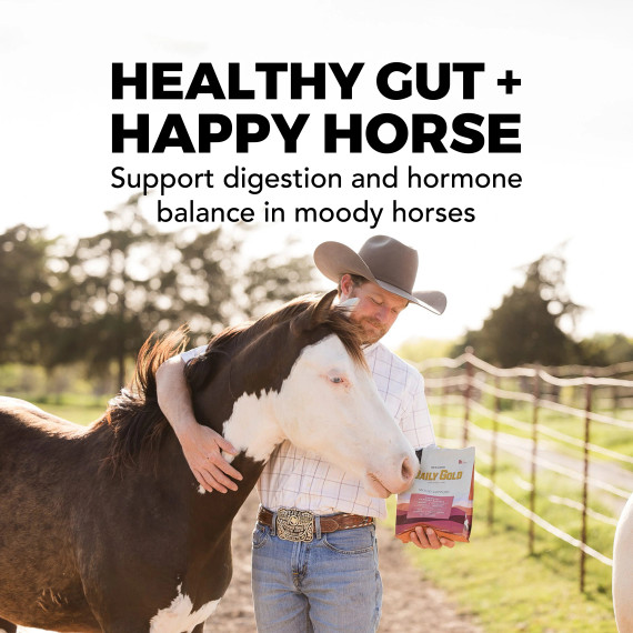 Daily Gold® Mood Support - Horse Gut Supplement 5lb