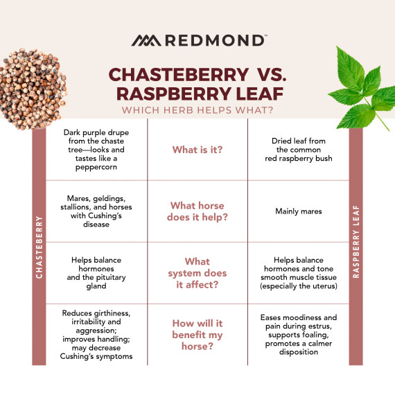 Daily Gold® Mood Support - Horse Gut Supplement 5lb