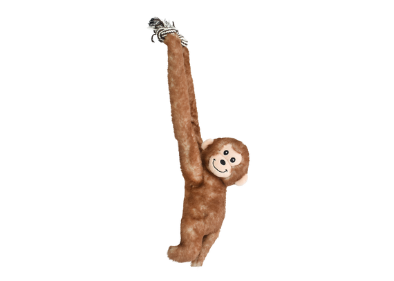 Multipet Look Who's Climbing Assorted Dog Toy